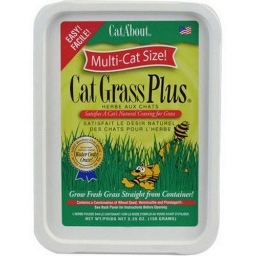 Gimborn Cat-A'bout Cat Grass Plus 1ct